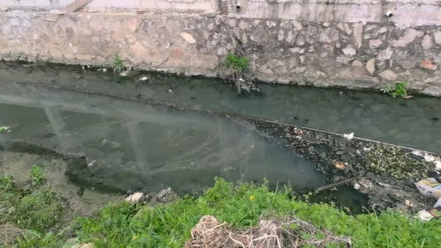 江西城市生活污水處理 頑疾為何久拖不治？
